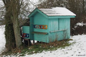 Winterverluste bei Bienenvölkern in der Schweiz