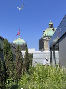 Sieg für die Bienen im Bundeshaus!