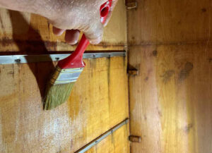 Propolis im Bienenvolk