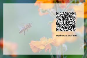 Umfrage Völkerverluste 2024/25: Jetzt mitmachen!