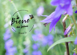 Drei kleine Heldinnen – Wer wird Biene des Jahres 2026?