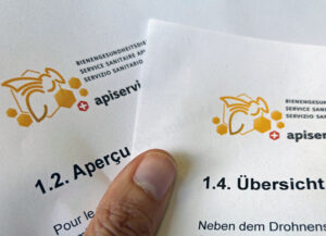 Neue Merkblätter