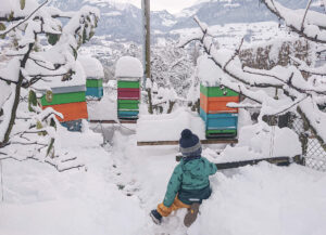 Planung Bienensaison 2026