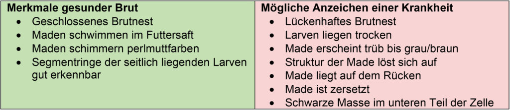 Unterschiede zwischen gesunder und kranker Brut: